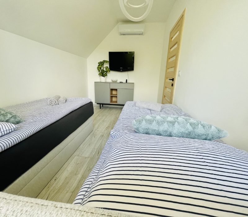 010.3 (EGYÉNI) (15)